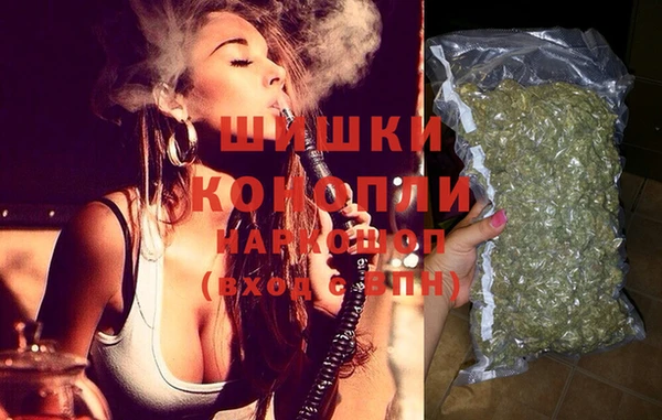 дмт Богородицк