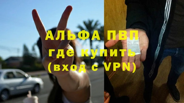 дмт Богородицк