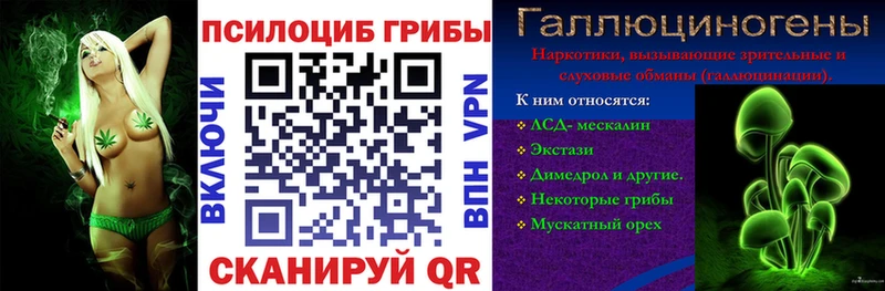 Галлюциногенные грибы GOLDEN TEACHER  Кимовск 